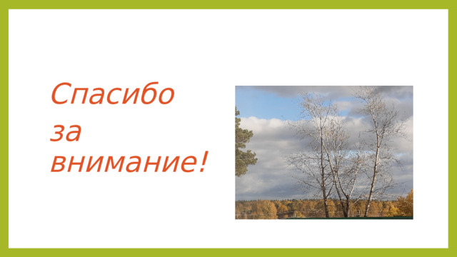 Спасибо за внимание! 