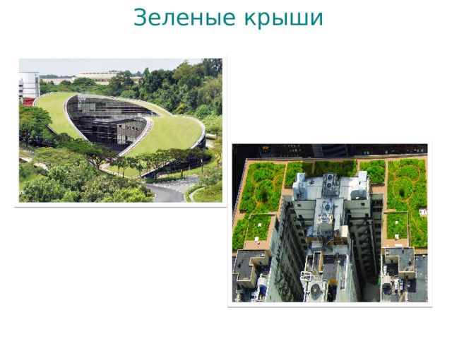 Зеленые крыши 