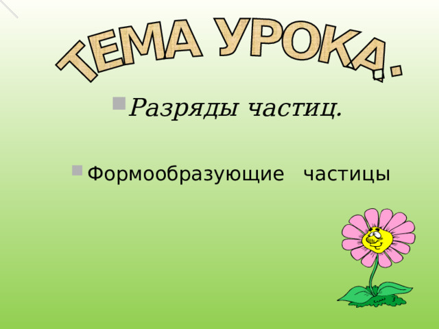 Разряды частиц.  Формообразующие частицы 