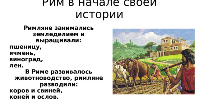 Рим в начале своей истории Римляне занимались земледелием и выращивали : пшеницу, ячмень, виноград, лен. В Риме развивалось животноводство , римляне разводили : коров и свиней, коней и ослов.  