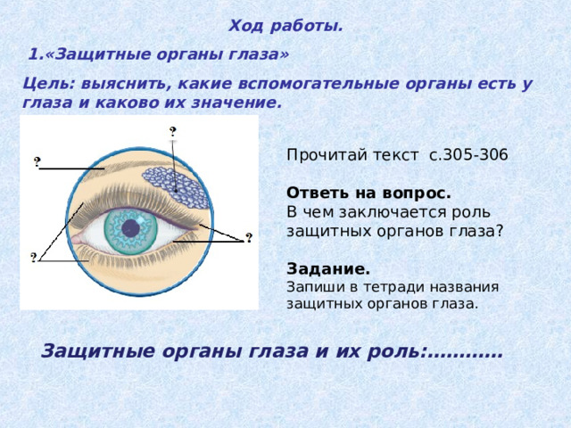 Ход работы.  1.«Защитные органы глаза» Цель: выяснить, какие вспомогательные органы есть у глаза и каково их значение.    Прочитай текст с.305-306 Ответь на вопрос. В чем заключается роль защитных органов глаза?  Задание. Запиши в тетради названия защитных органов глаза.   Защитные органы глаза и их роль:………… 