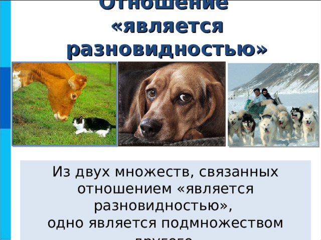 Отношение  «является разновидностью» Из двух множеств, связанных отношением «является разновидностью»,  одно является подмножеством другого . 