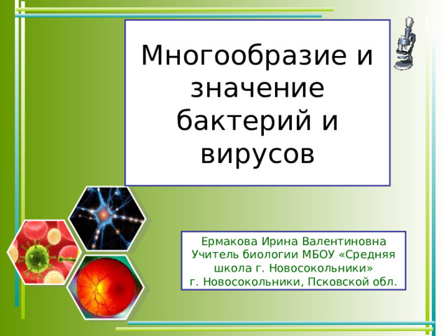 Многообразие и значение бактерий и вирусов Ермакова Ирина Валентиновна Учитель биологии МБОУ «Средняя школа г. Новосокольники» г. Новосокольники, Псковской обл. 