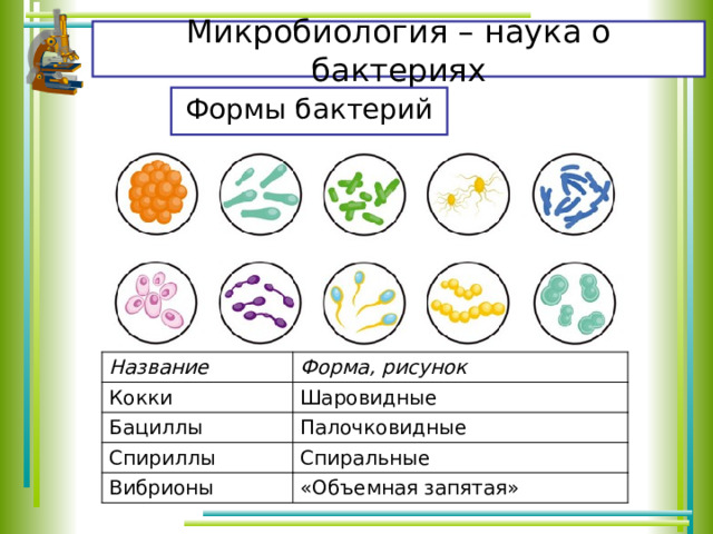  Микробиология – наука о бактериях   Формы бактерий Название Кокки Форма, рисунок Бациллы Шаровидные Палочковидные Спириллы Вибрионы Спиральные «Объемная запятая» 