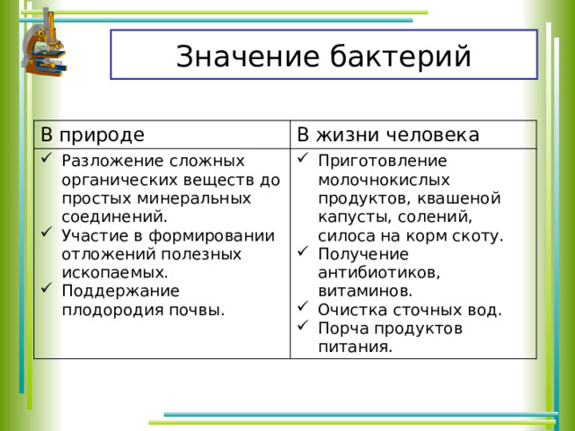 Значение бактерий В природе В жизни человека Разложение сложных органических веществ до простых минеральных соединений. Участие в формировании отложений полезных ископаемых. Поддержание плодородия почвы. Приготовление молочнокислых продуктов, квашеной капусты, солений, силоса на корм скоту. Получение антибиотиков, витаминов. Очистка сточных вод. Порча продуктов питания. 