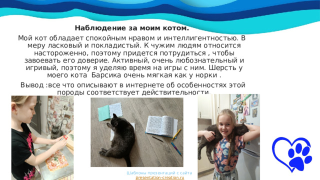 Наблюдение за моим котом. Мой кот обладает спокойным нравом и интеллигентностью. В меру ласковый и покладистый. К чужим людям относится настороженно, поэтому придется потрудиться , чтобы завоевать его доверие. Активный, очень любознательный и игривый, поэтому я уделяю время на игры с ним. Шерсть у моего кота Барсика очень мягкая как у норки .  Вывод :все что описывают в интернете об особенностях этой породы соответствует действительности. Шаблоны презентаций с сайта  presentation-creation.ru 