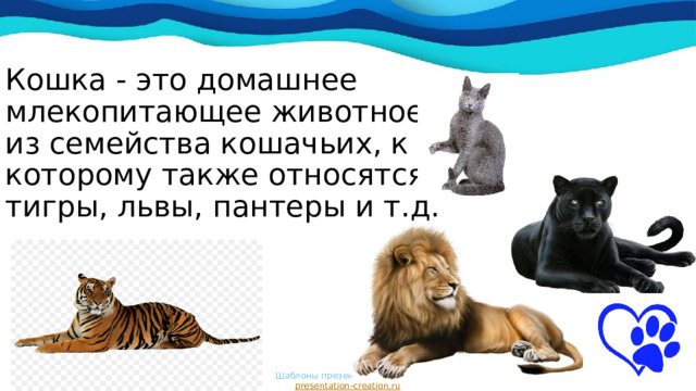Кошка - это домашнее млекопитающее животное из семейства кошачьих, к которому также относятся тигры, львы, пантеры и т.д. Шаблоны презентаций с сайта  presentation-creation.ru 