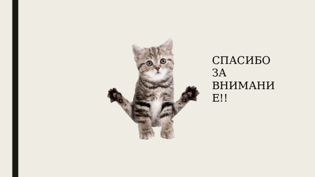СПАСИБО ЗА ВНИМАНИЕ!! 