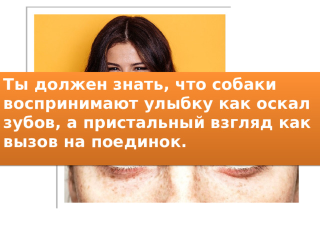 Ты должен знать, что собаки воспринимают улыбку как оскал зубов, а пристальный взгляд как вызов на поединок. 