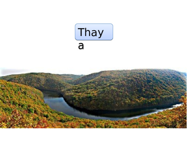 Thaya 