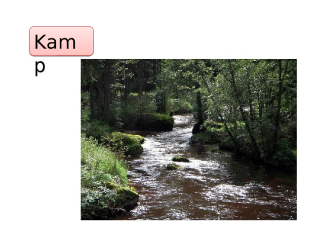 Kamp 