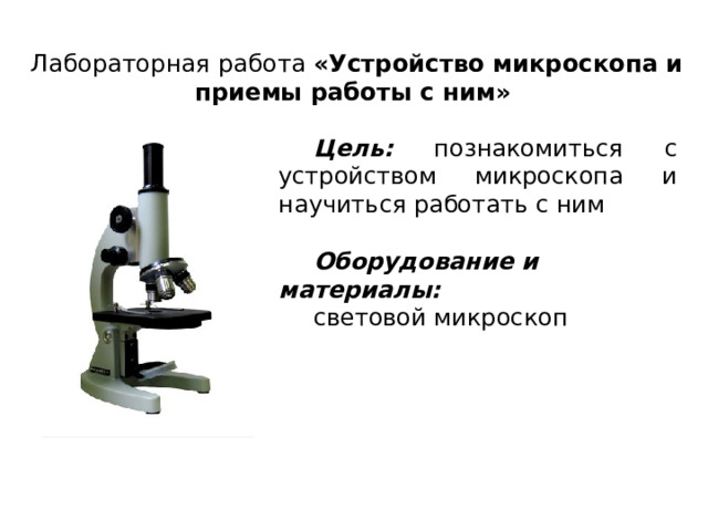 Лабораторная работа «Устройство микроскопа и приемы работы с ним» Цель: познакомиться с устройством микроскопа и научиться работать с ним  Оборудование и материалы:  световой микроскоп 