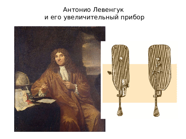 Антонио Левенгук  и его увеличительный прибор 