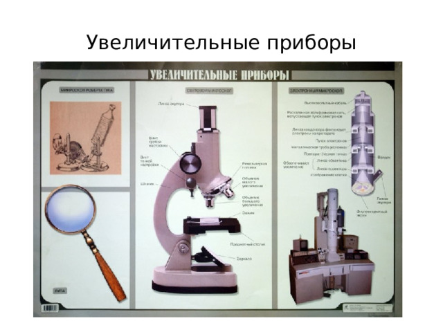 Увеличительные приборы 