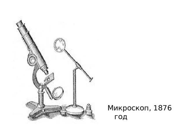 Микроскоп, 1876 год 