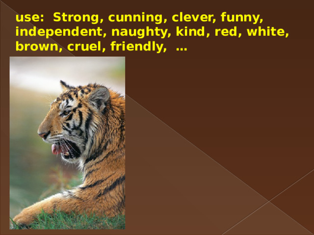 use: Strong, cunning, clever, funny, independent, naughty, kind, red, white, brown, cruel, friendly, … 