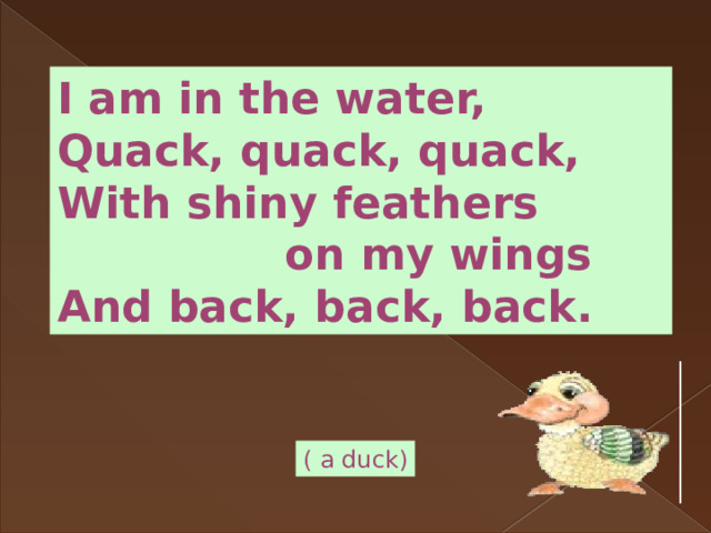 I am in the water, Quack, quack, quack, With shiny feathers  on my wings And back, back, back. ( a duck) 