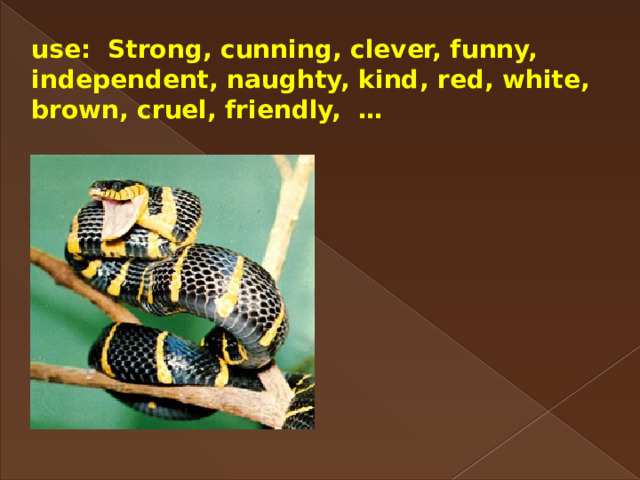 use: Strong, cunning, clever, funny, independent, naughty, kind, red, white, brown, cruel, friendly, … 