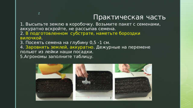 Практическая часть 1. Высыпьте землю в коробочку. Возьмите пакет с семенами, аккуратно вскройте, не рассыпав семена. 2. В подготовленном субстрате, наметьте бороздки вилочкой . 3. Посеять семена на глубину 0,5 -1 см. 4. Заровнять землей, аккуратно . Дежурные на перемене польют из лейки наши посадки. 5.Агрономы заполните таблицу. 