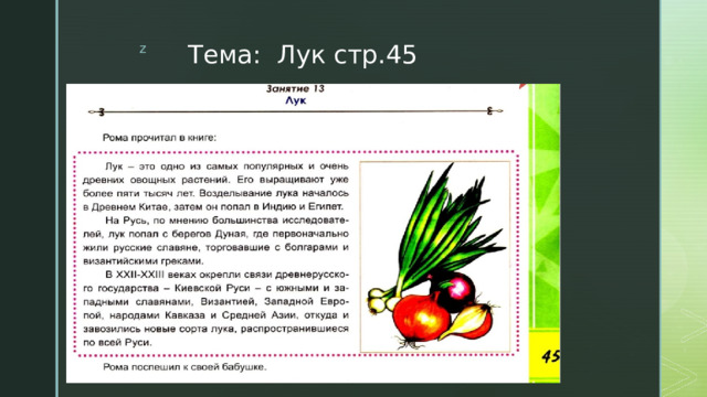 Тема: Лук стр.45 