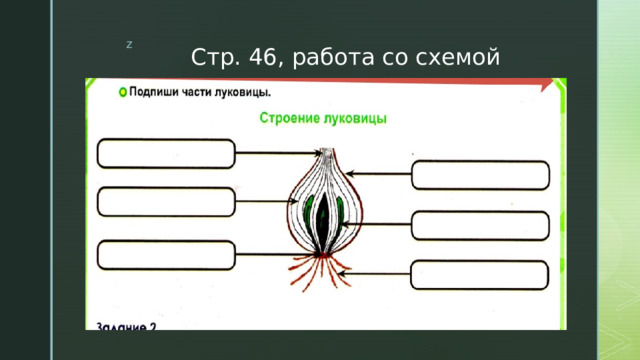 Стр. 46, работа со схемой 