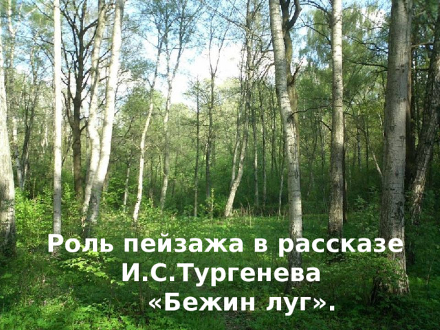  Роль пейзажа в рассказе И.С.Тургенева  «Бежин луг» . 