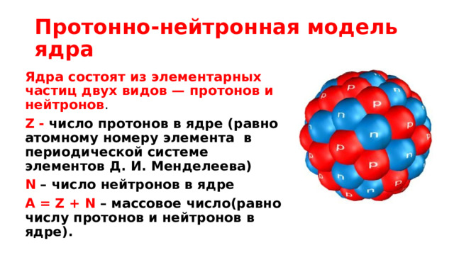 Протонно-нейтронная модель ядра Ядра состоят из элементарных частиц двух видов — протонов и нейтронов . Z - число протонов в ядре (равно атомному номеру элемента в периодической системе элементов Д. И. Менделеева) N – число нейтронов в ядре A = Z + N – массовое число(равно числу протонов и нейтронов в ядре). 
