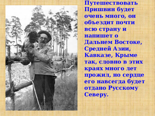 П утешеств овать Пришвин  будет очень много, он объездит почти всю страну и напишет о Дальнем Востоке, Средней Азии, Кавказе, Крыме так, словно в этих краях много лет прожил, но сердце его навсегда будет отдано Русскому Северу. 