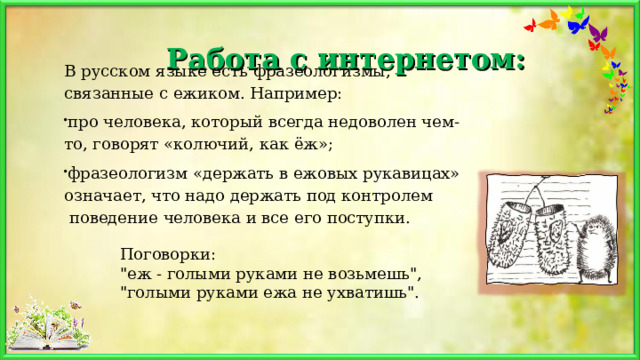   Работа с интернетом:   В русском языке есть фразеологизмы, связанные с ежиком. Например: про человека, который всегда недоволен чем-то, говорят «колючий, как ёж»; фразеологизм «держать в ежовых рукавицах» означает, что надо держать под контролем  поведение человека и все его поступки.  Поговорки: 