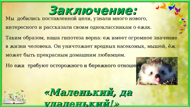 Заключение: Мы  добились поставленной цели, узнали много нового, интересного и рассказали своим одноклассникам о ежах.   Таким образом, наша гипотеза верна: еж имеет огромное значение в жизни человека. Он уничтожает вредных насекомых, мышей, ёж может быть прекрасным домашним любимцем. Но ежи требуют осторожного и бережного отношения к себе! «Маленький, да удаленький!» 