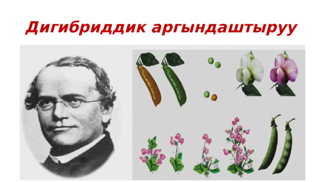 Дигибриддик аргындаштыруу 