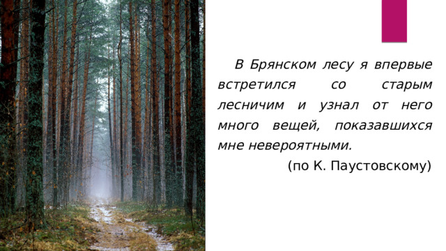 В Брянском лесу я впервые встретился со старым лесничим и узнал от него много вещей, показавшихся мне невероятными. (по К. Паустовскому) 