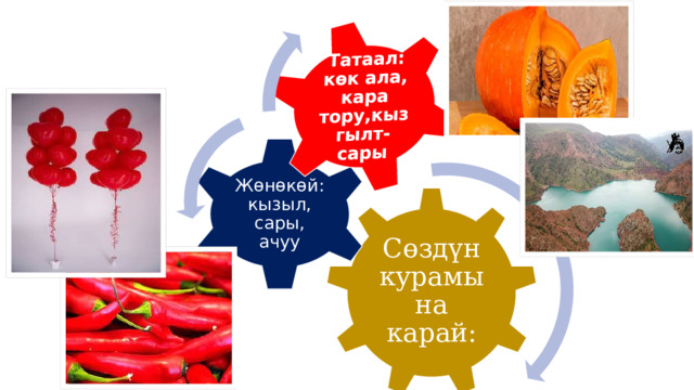 Татаал: көк ала, кара тору,кызгылт-сары Жөнөкөй:  кызыл, сары, ачуу Сөздүн курамына карай: 