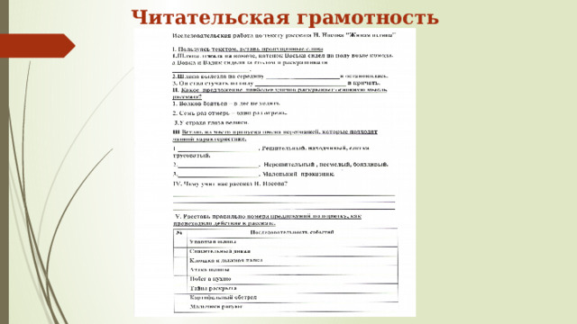 Читательская грамотность 