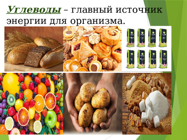 Углеводы  – главный источник энергии для организма.   