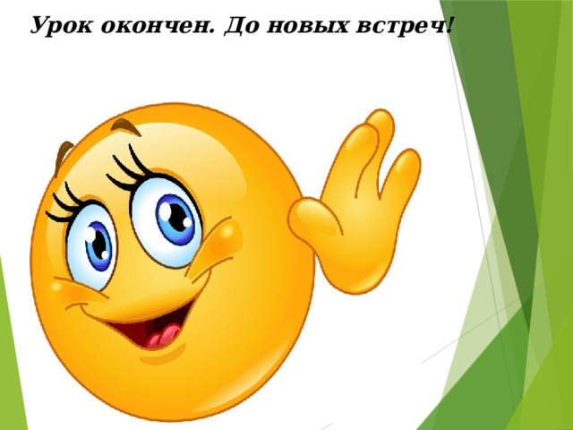   Урок окончен. До новых встреч!   
