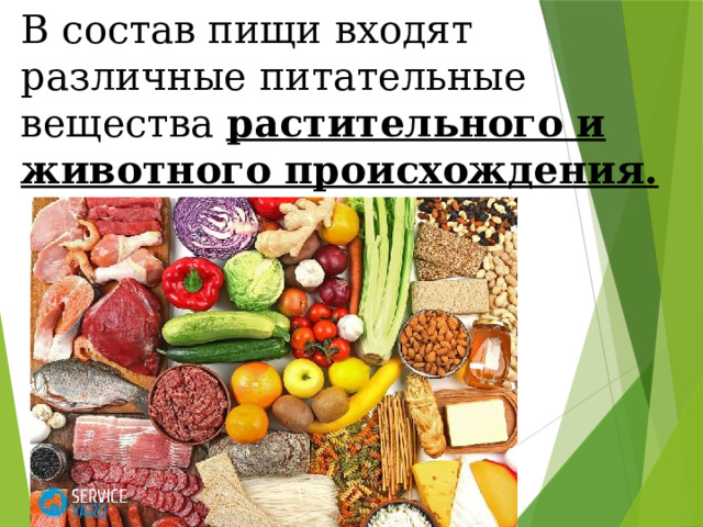 В состав пищи входят различные питательные вещества растительного и животного происхождения. 
