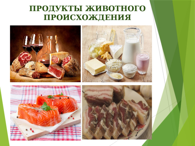 ПРОДУКТЫ ЖИВОТНОГО ПРОИСХОЖДЕНИЯ 