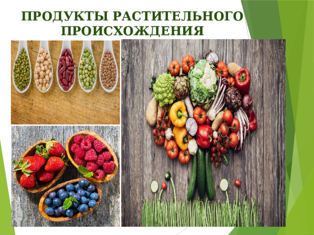 ПРОДУКТЫ РАСТИТЕЛЬНОГО ПРОИСХОЖДЕНИЯ 