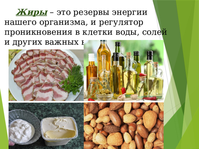   Жиры  – это резервы энергии нашего организма, и регулятор проникновения в клетки воды, солей и других важных веществ. 