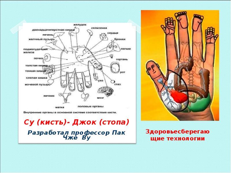 Картотека Су-джок терапии