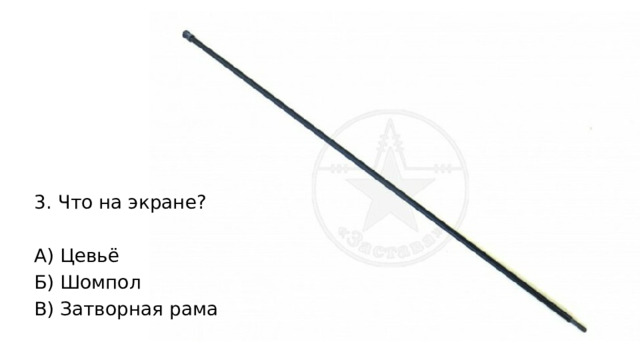 3. Что на экране? А) Цевьё Б) Шомпол В) Затворная рама 