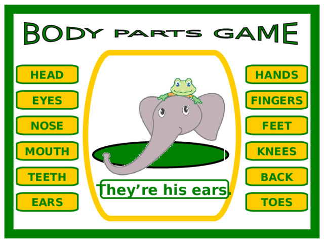 HANDS HEAD EYES FINGERS NOSE FEET MOUTH KNEES TEETH BACK They’re his ears. TOES EARS 