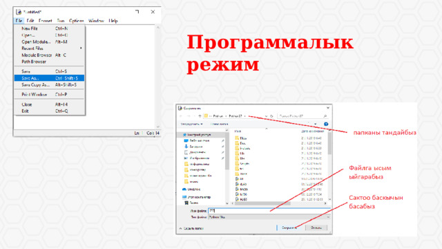 Программалык режим 