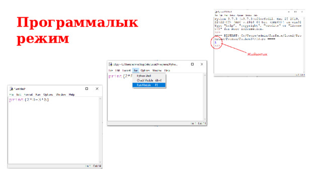 Программалык режим 