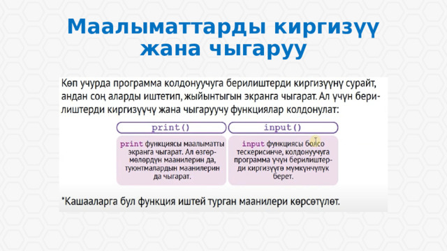 Маалыматтарды киргизүү жана чыгаруу 