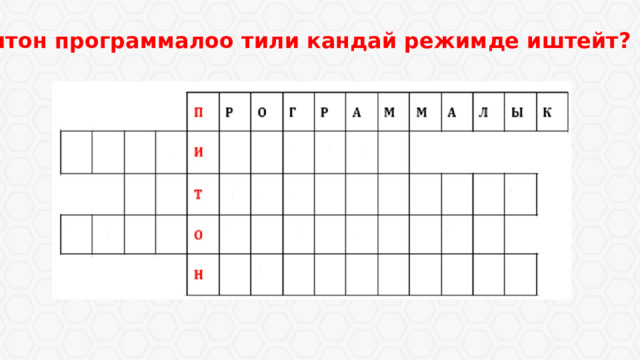 Питон программалоо тили кандай режимде иштейт? 