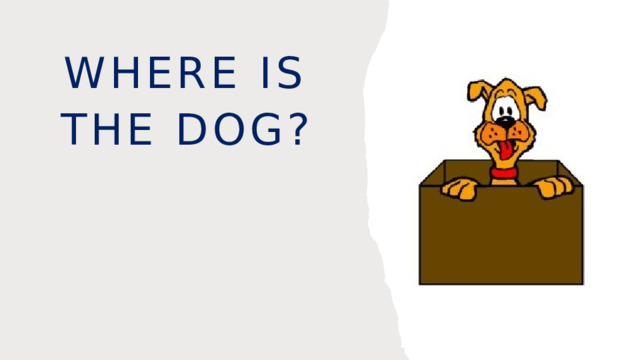 Where is the dog? 