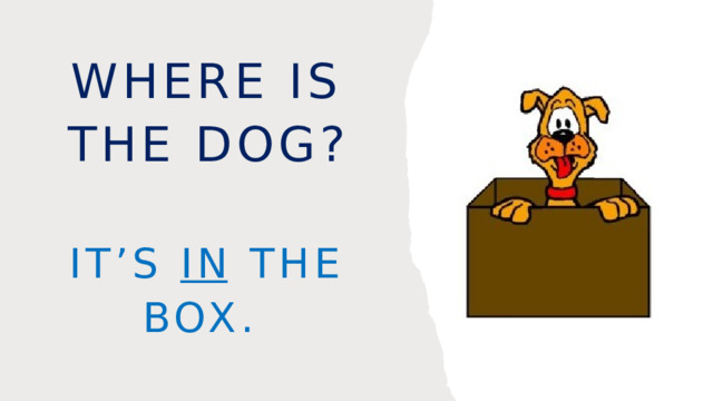 Where is the dog? It’s in the box. 