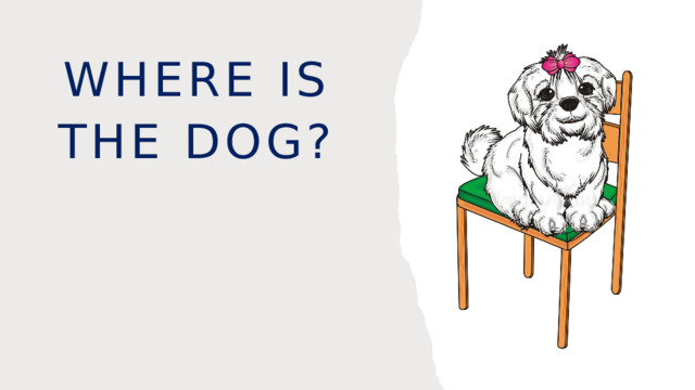 Where is the dog? 